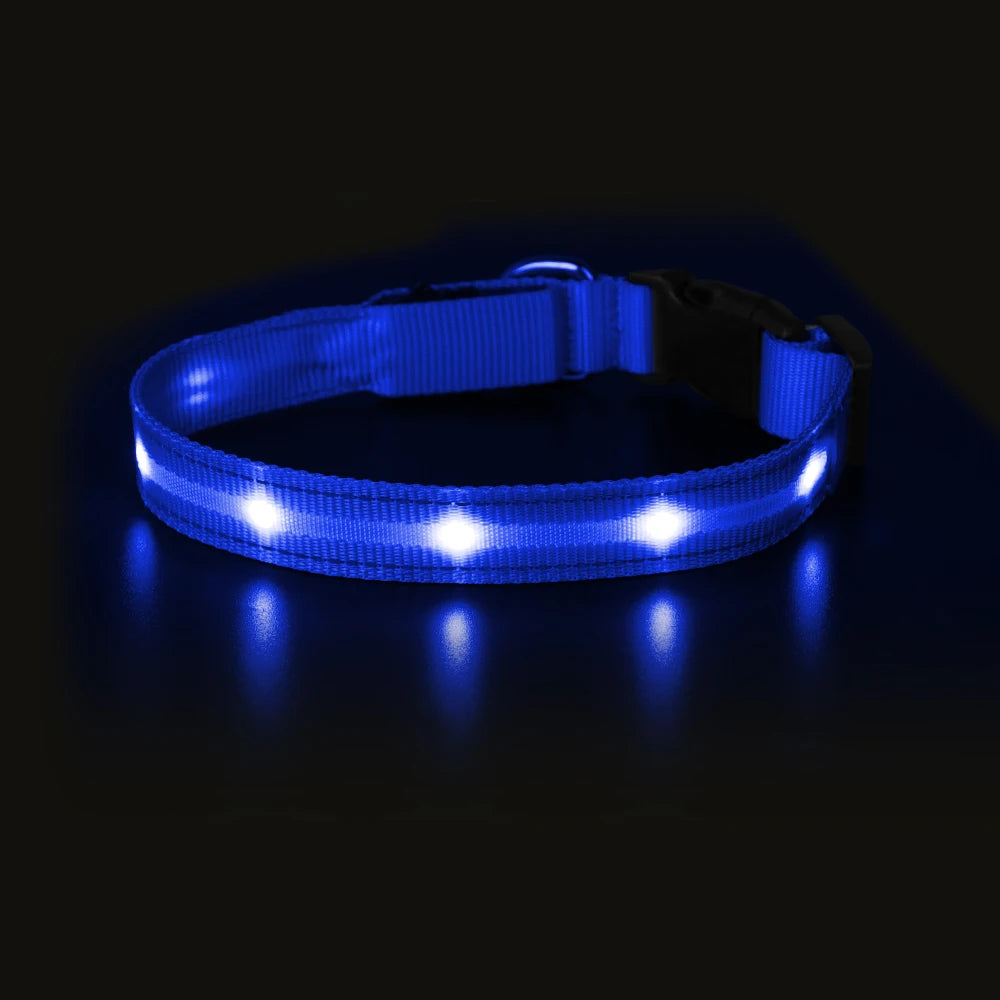 Light Up Dog Collar Waterproof USB Rechargeable Glowing Safety Collar - Health and Tech Solutions 25
