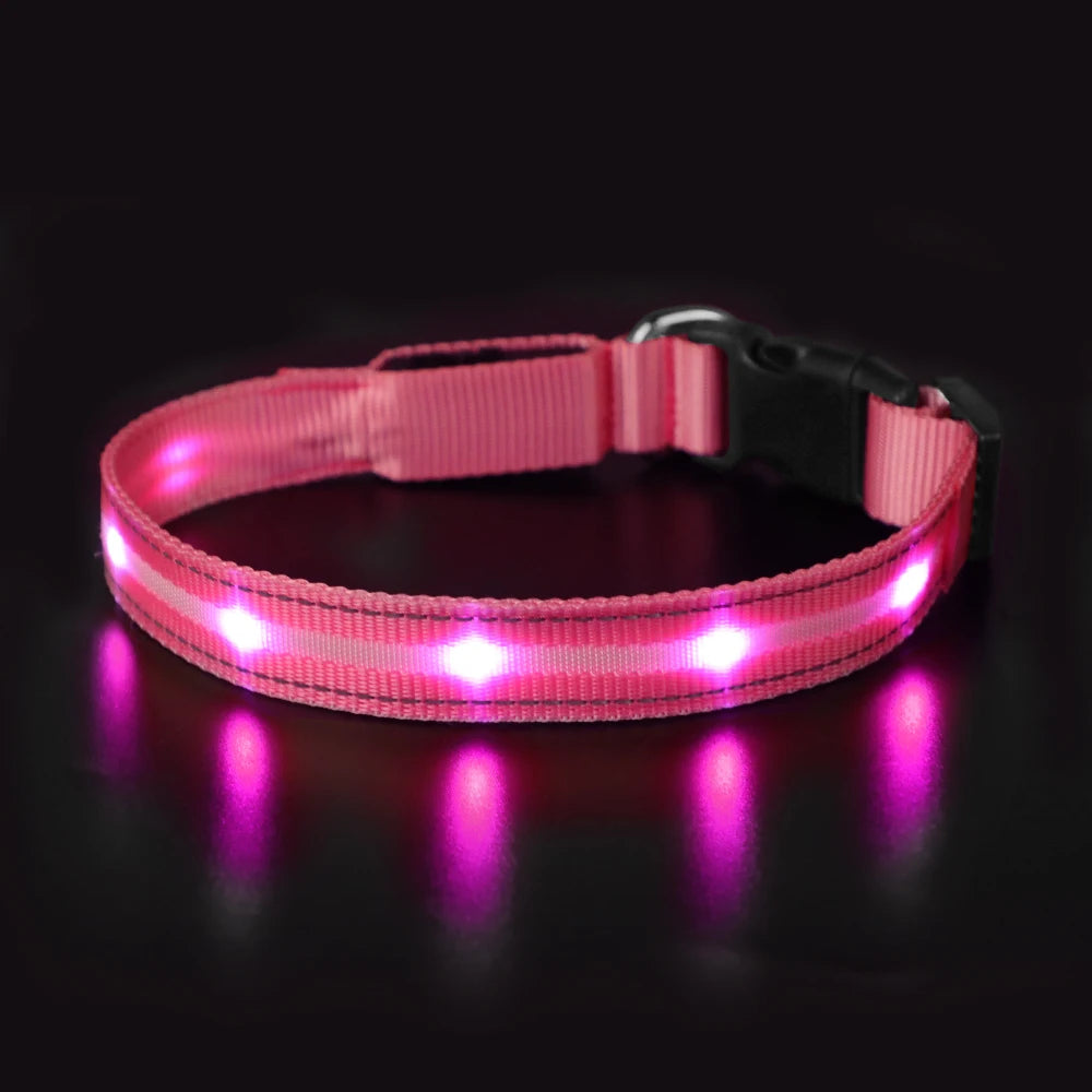 Light Up Dog Collar Waterproof USB Rechargeable Glowing Safety Collar - Health and Tech Solutions 25