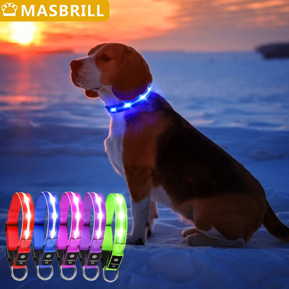 Light Up Dog Collar Waterproof USB Rechargeable Glowing Safety Collar - Health and Tech Solutions 25