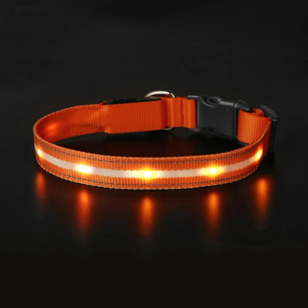 Light Up Dog Collar Waterproof USB Rechargeable Glowing Safety Collar - Health and Tech Solutions 25