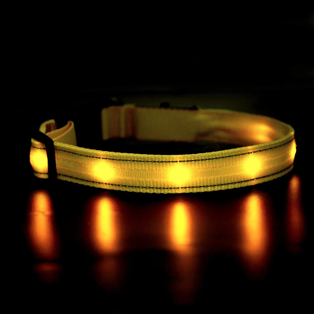 Light Up Dog Collar Waterproof USB Rechargeable Glowing Safety Collar - Health and Tech Solutions 25