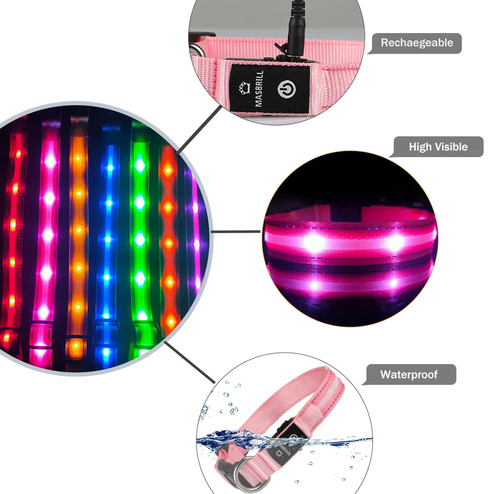 Light Up Dog Collar Waterproof USB Rechargeable Glowing Safety Collar - Health and Tech Solutions 25