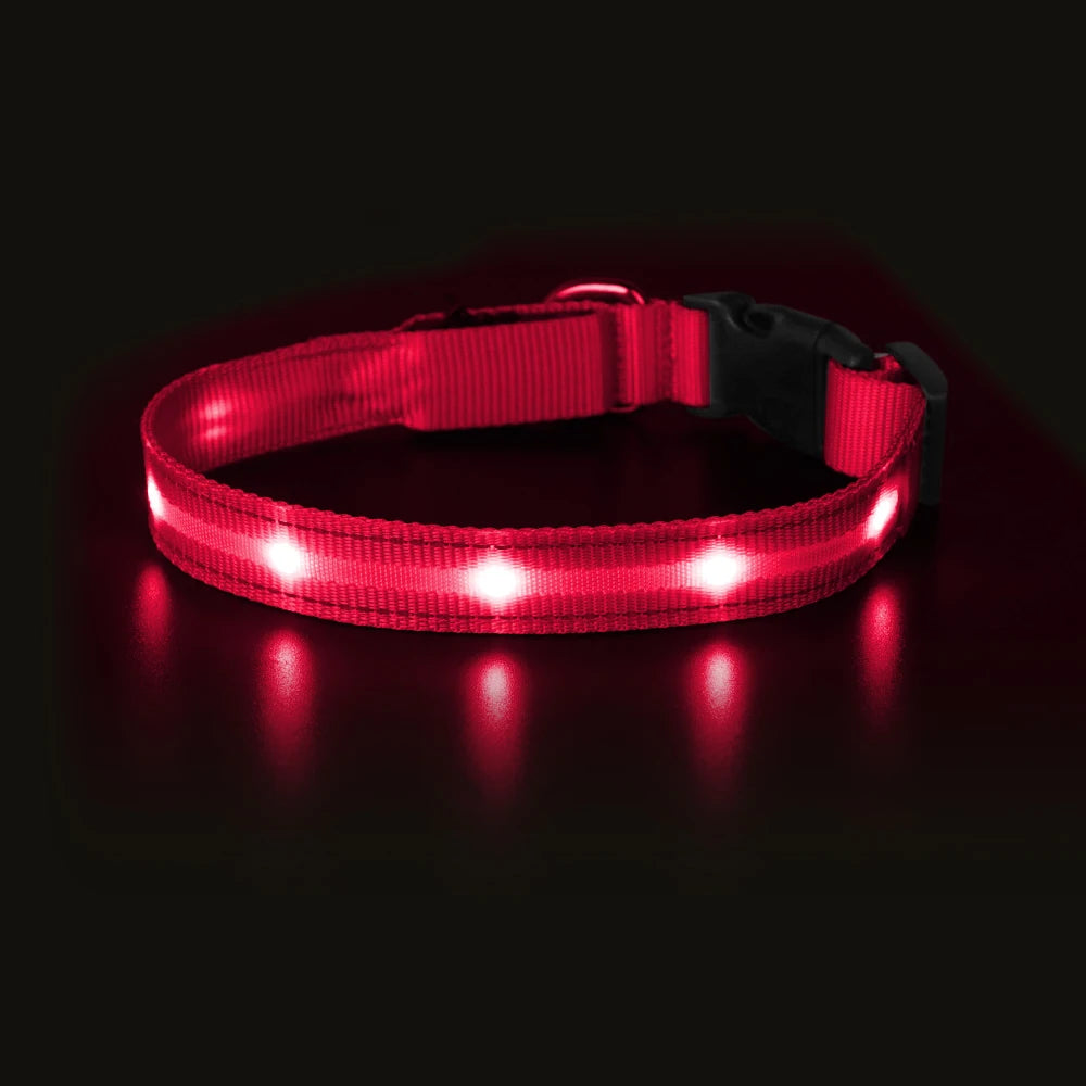 Light Up Dog Collar Waterproof USB Rechargeable Glowing Safety Collar - Health and Tech Solutions 25