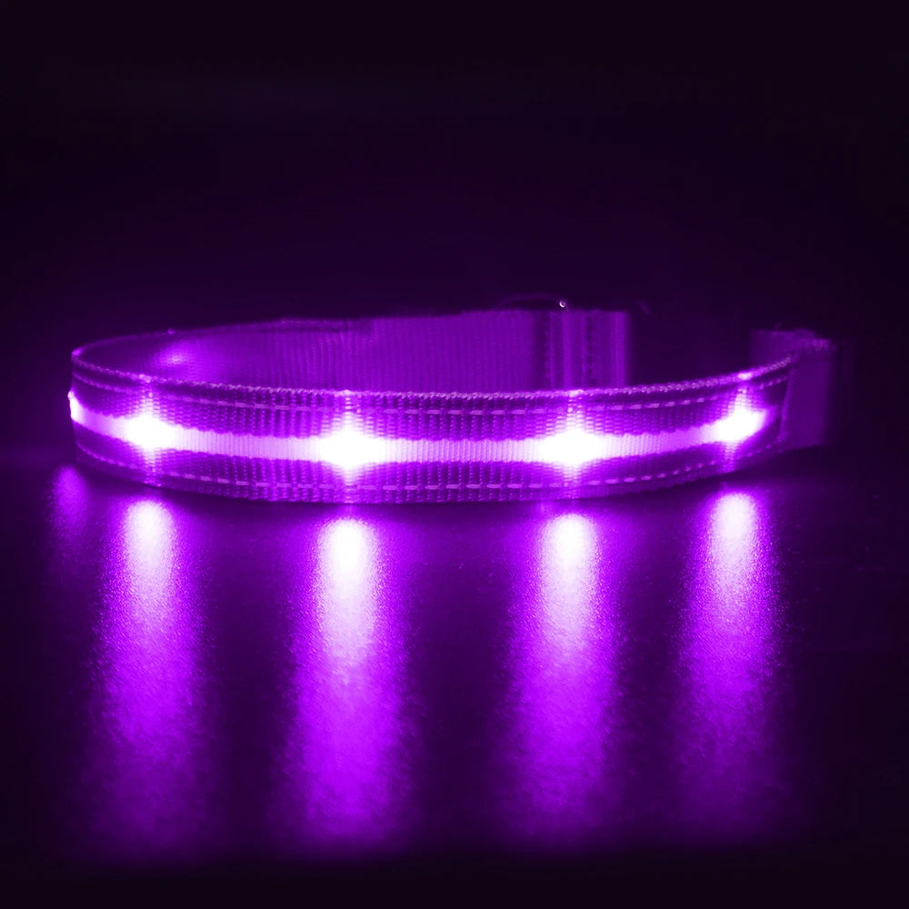 Light Up Dog Collar Waterproof USB Rechargeable Glowing Safety Collar - Health and Tech Solutions 25