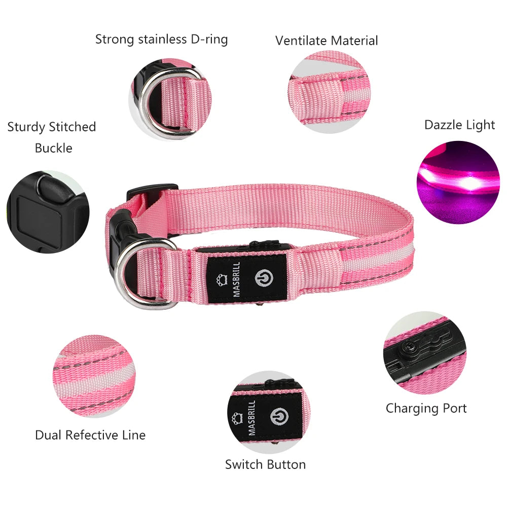 Light Up Dog Collar Waterproof USB Rechargeable Glowing Safety Collar - Health and Tech Solutions 25