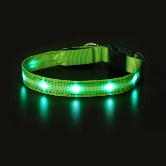 Light Up Dog Collar Waterproof USB Rechargeable Glowing Safety Collar - Health and Tech Solutions 25