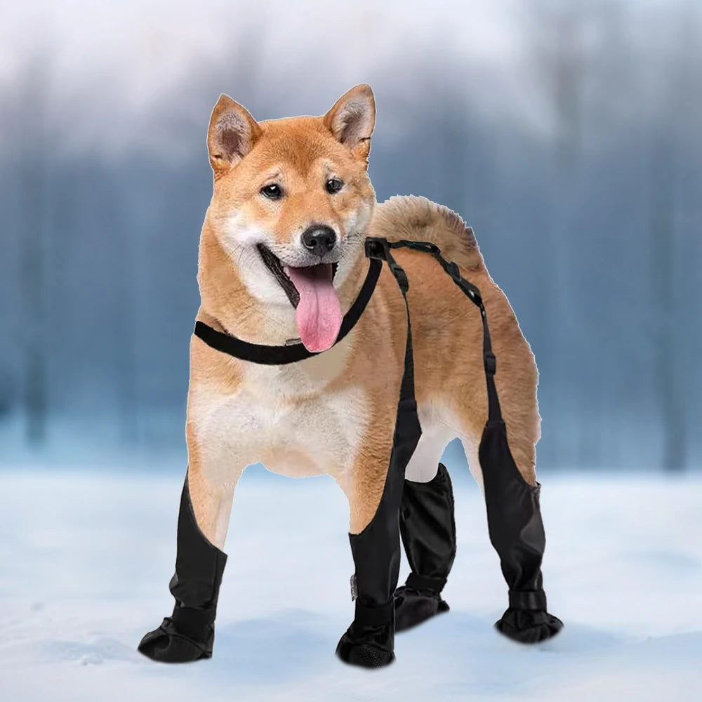CN Guangdong Waterproof Dog Paw Boot Leggings For Walking - Health and Tech Solutions 25
