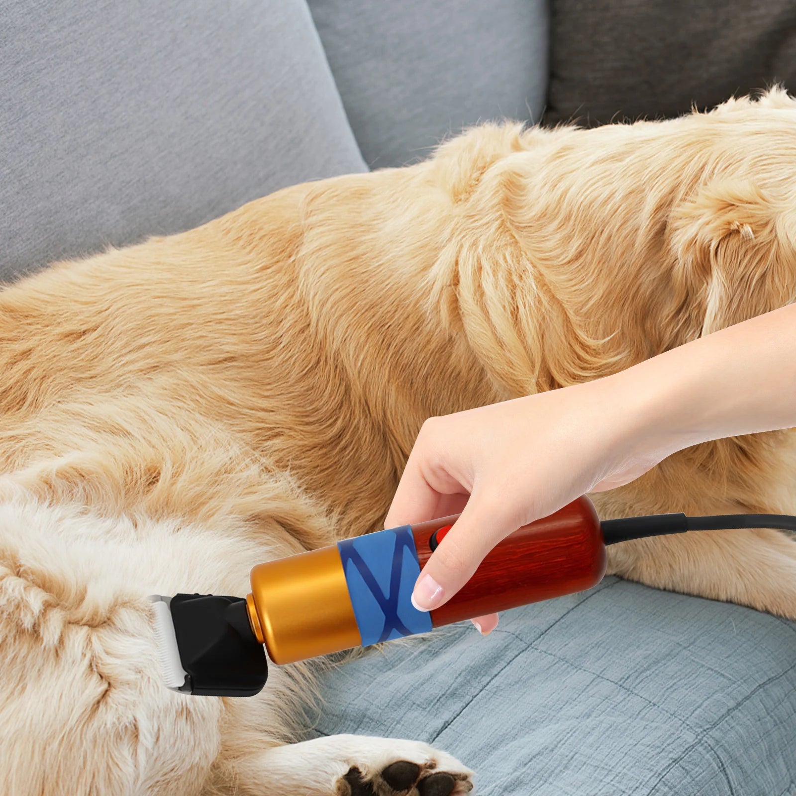 Pet Hair Clipper Low Noise High Efficiency Professional Electric Variable Speed Hair Shearing for Sheep Dogs Cats - Health and Tech Solutions 25