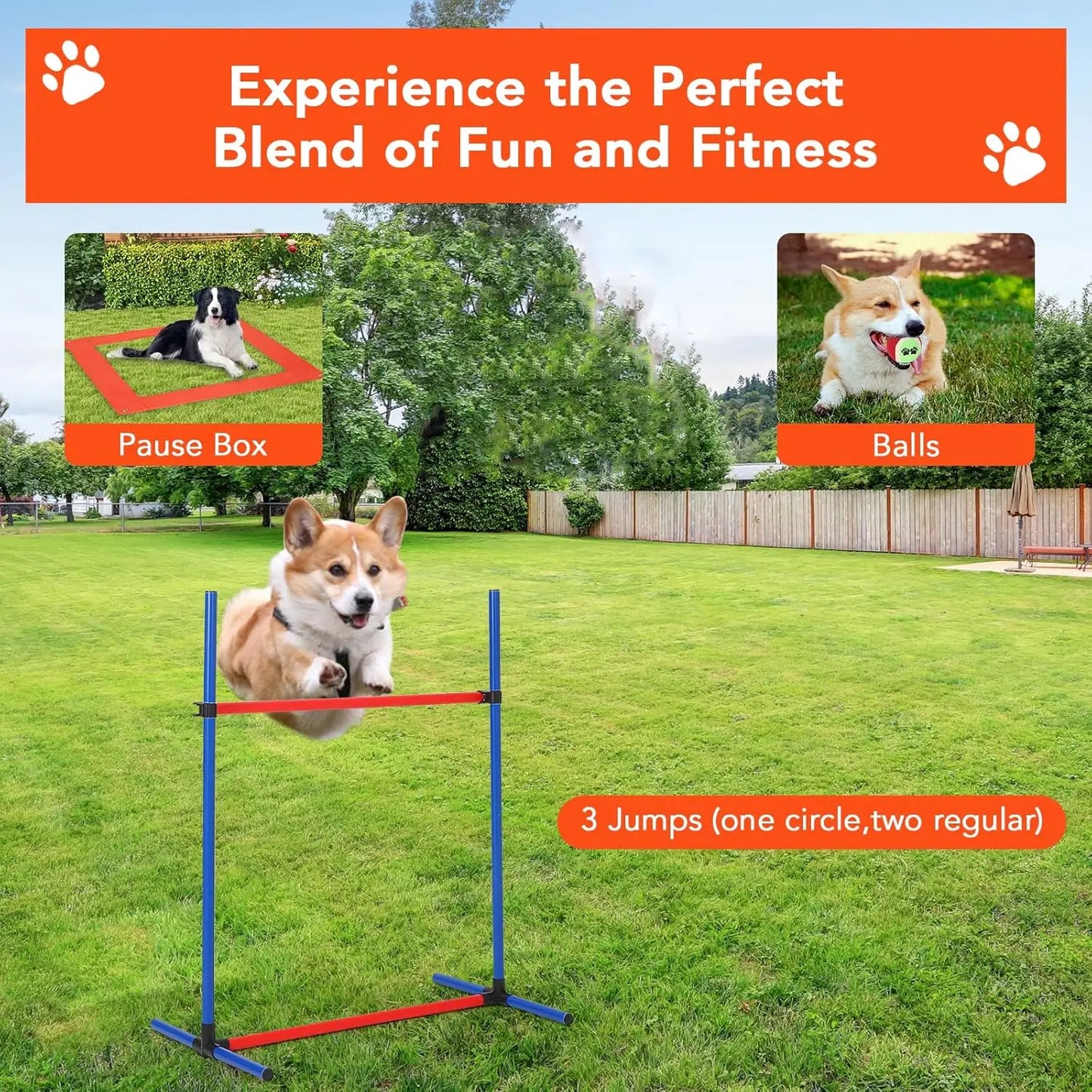 87 Piece Dog Agility Training Equipment Set for Outdoor Fun - Health and Tech Solutions 25