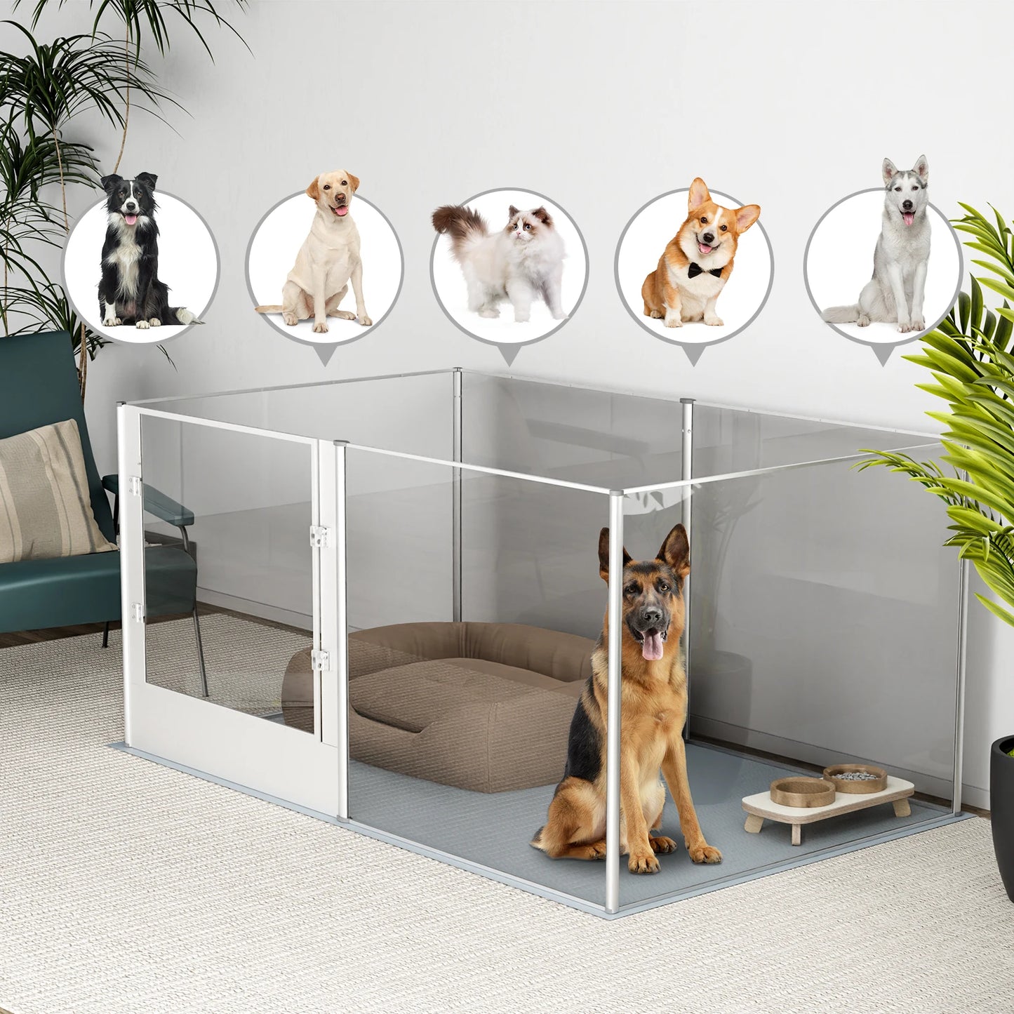 BingoPaw Acrylic Dog Playpen Fence With Waterproof Pad - Health and Tech Solutions 25